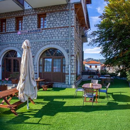 Hotel Adonis Metsovo Buitenkant foto