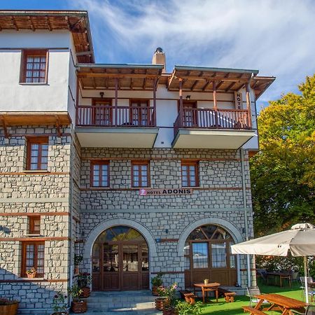 Hotel Adonis Metsovo Buitenkant foto