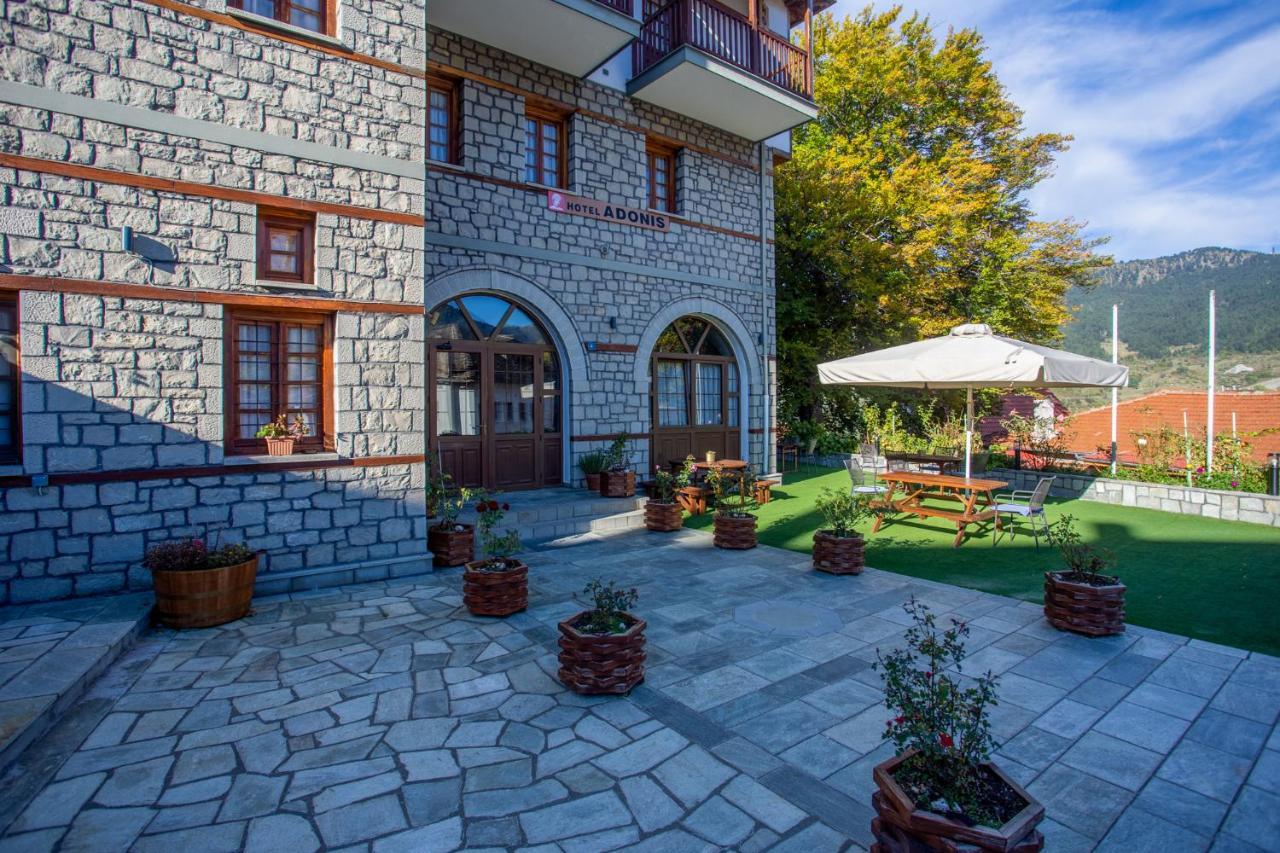Hotel Adonis Metsovo Buitenkant foto