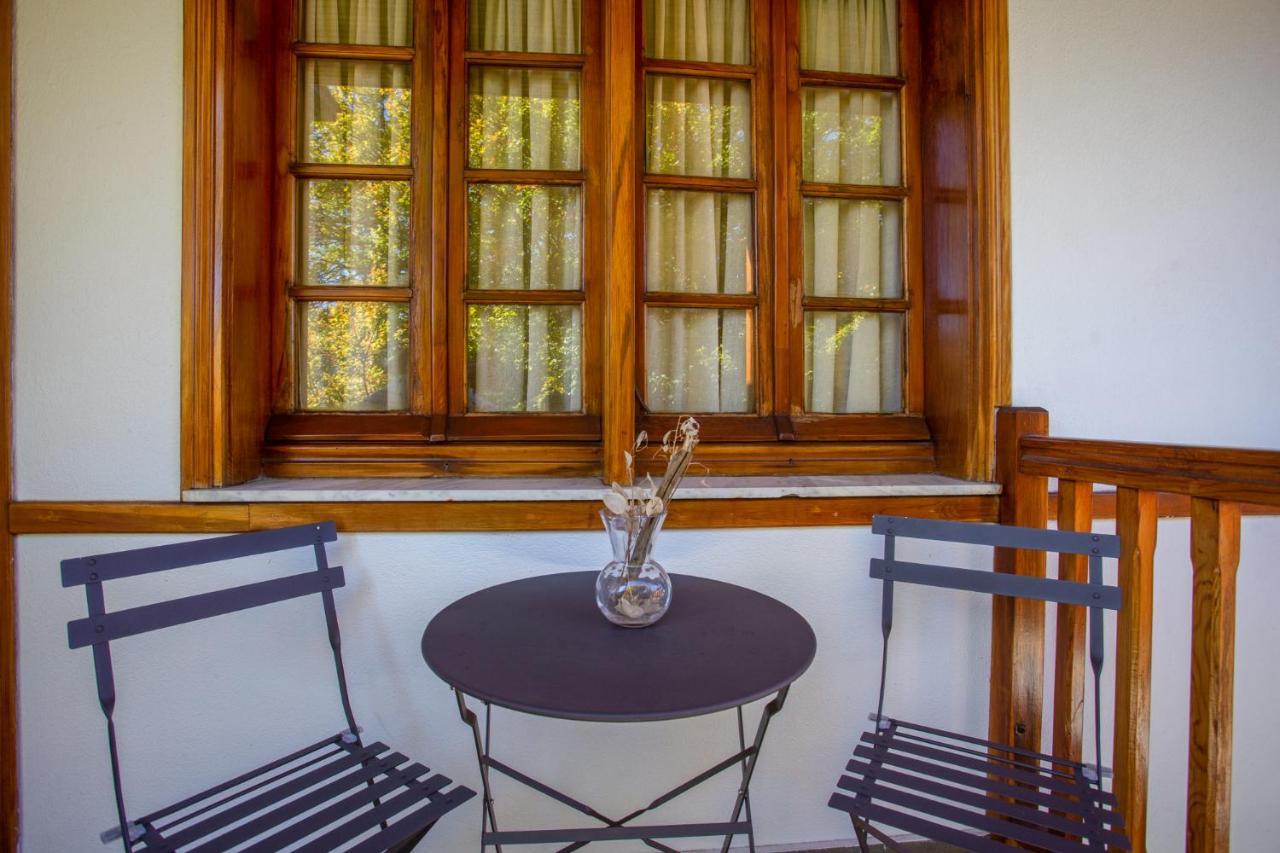 Hotel Adonis Metsovo Buitenkant foto