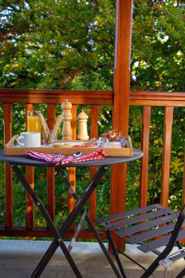 Hotel Adonis Metsovo Buitenkant foto