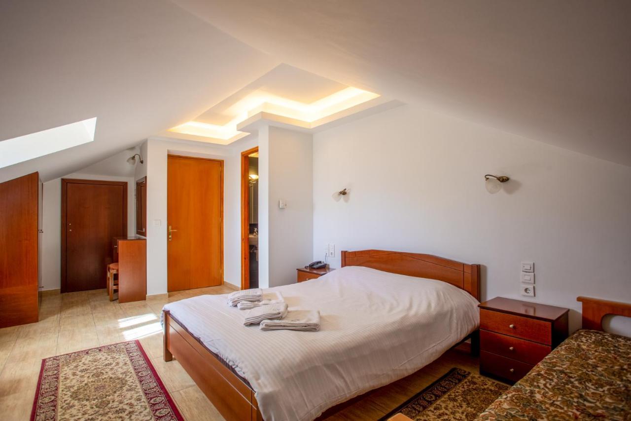 Hotel Adonis Metsovo Buitenkant foto