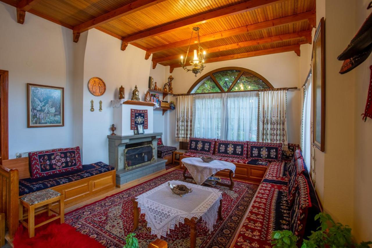 Hotel Adonis Metsovo Buitenkant foto